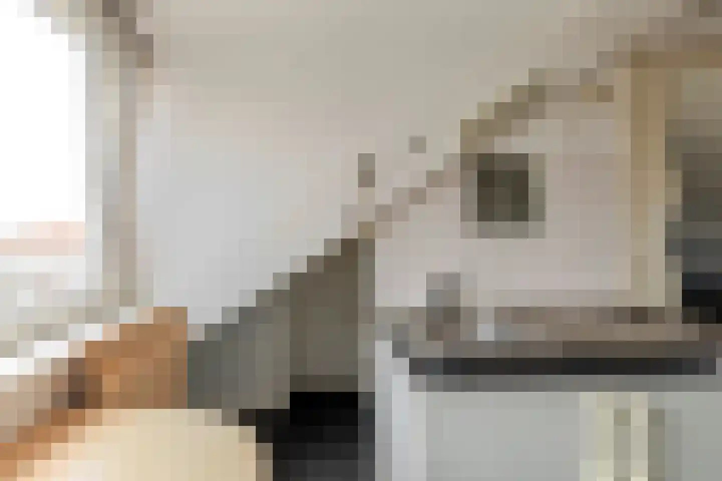 Balistraat 85 Utrecht thumbnail 5