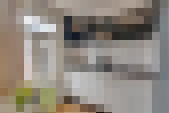Balistraat 85 Utrecht thumbnail 9