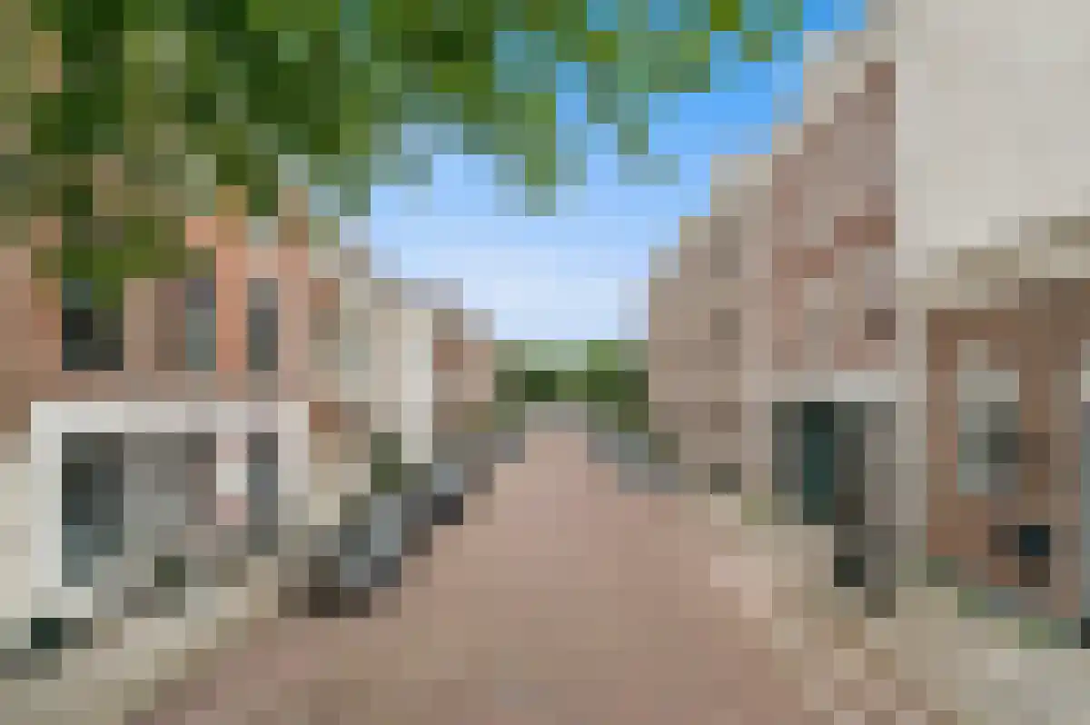 Balistraat 87 Den Haag thumbnail 5