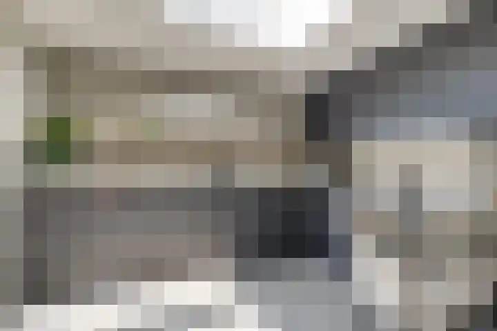 Baljuw 10 Naaldwijk thumbnail 12