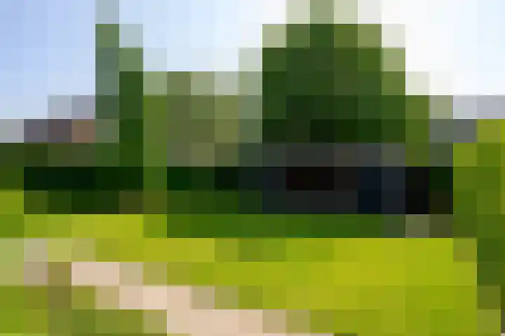 Baljuw 10 Naaldwijk thumbnail 17