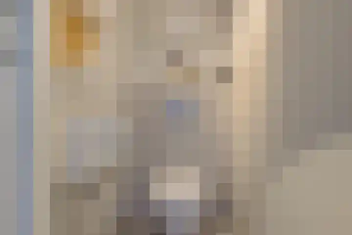 Baljuw 10 Naaldwijk thumbnail 20