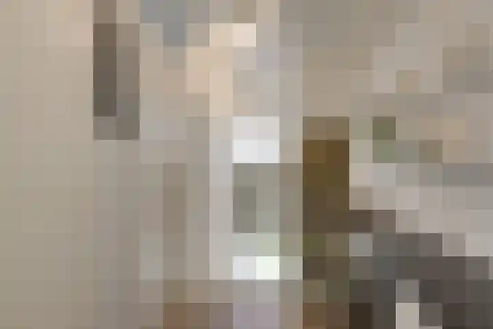 Baljuw 10 Naaldwijk thumbnail 21