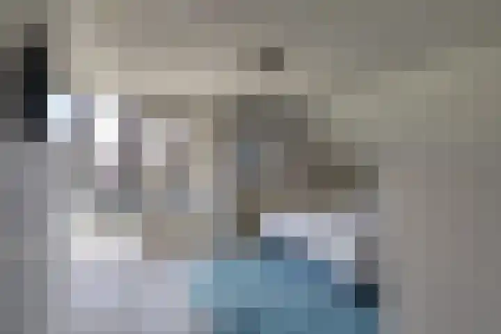 Baljuw 10 Naaldwijk thumbnail 22
