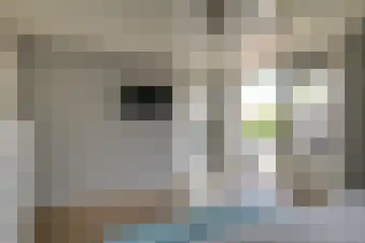Baljuw 10 Naaldwijk thumbnail 23
