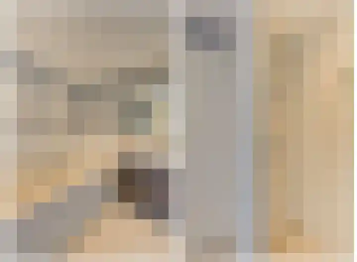 Baljuw 10 Naaldwijk thumbnail 26