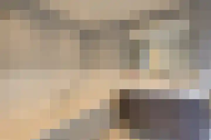 Baljuw 10 Naaldwijk thumbnail 27