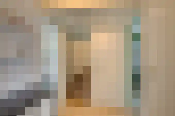 Baljuw 10 Naaldwijk thumbnail 29