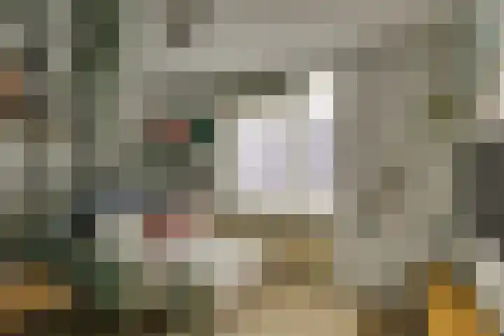 Baljuw 10 Naaldwijk thumbnail 30