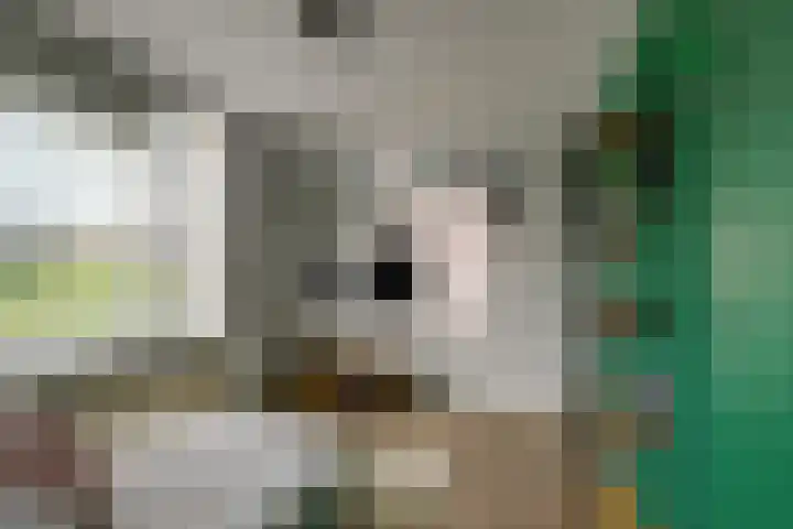 Baljuw 10 Naaldwijk thumbnail 31