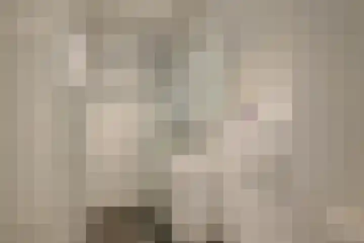 Baljuw 10 Naaldwijk thumbnail 32