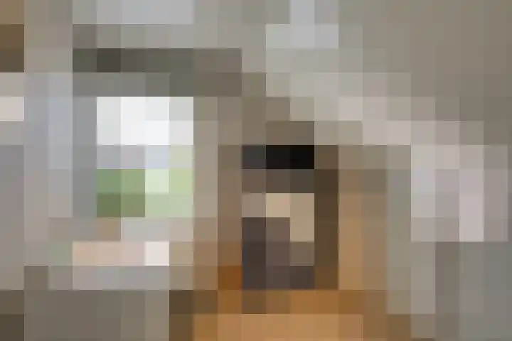 Baljuw 10 Naaldwijk thumbnail 33