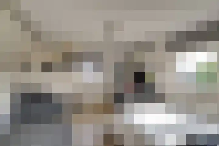 Baljuw 10 Naaldwijk thumbnail 35