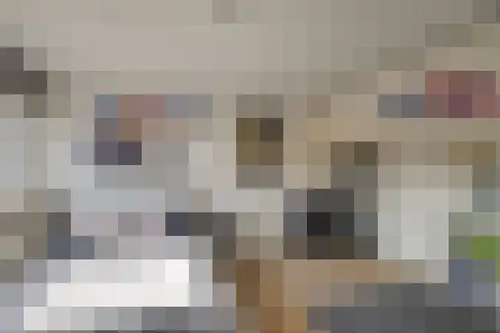 Baljuw 10 Naaldwijk thumbnail 36