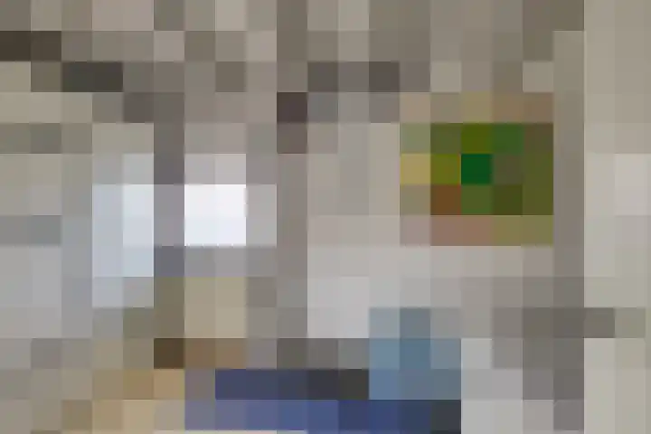 Baljuw 10 Naaldwijk thumbnail 37