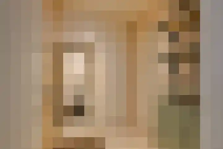 Baljuw 10 Naaldwijk thumbnail 38