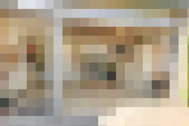 Baljuw 10 Naaldwijk thumbnail 39