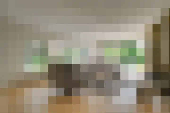 Baljuw 10 Naaldwijk thumbnail 4