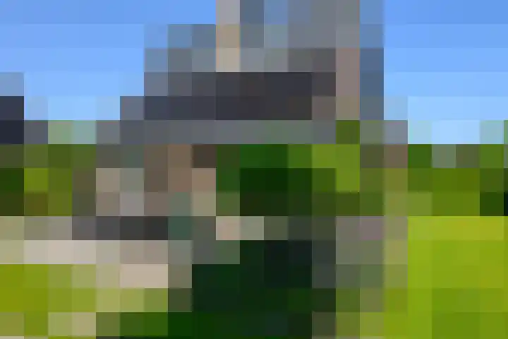 Baljuw 10 Naaldwijk thumbnail 40