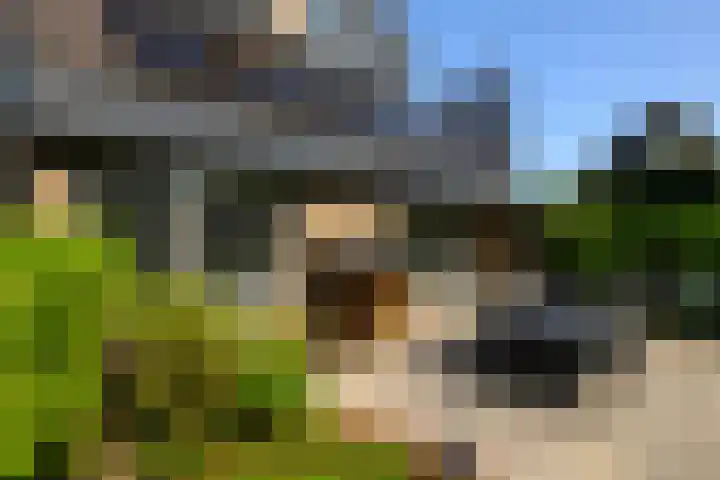 Baljuw 10 Naaldwijk thumbnail 41