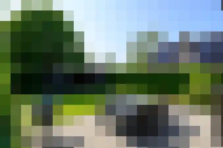 Baljuw 10 Naaldwijk thumbnail 42