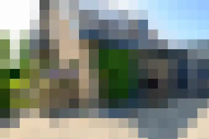 Baljuw 10 Naaldwijk thumbnail 45