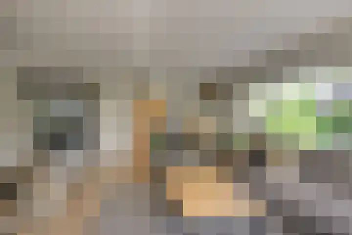 Baljuw 10 Naaldwijk thumbnail 5