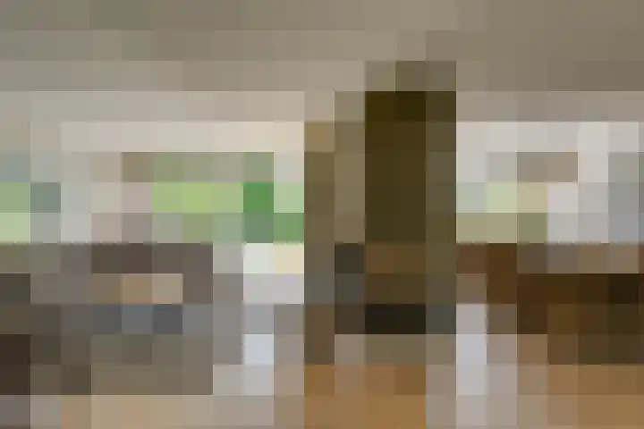 Baljuw 10 Naaldwijk thumbnail 7