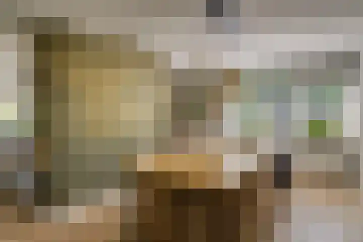 Baljuw 10 Naaldwijk thumbnail 8