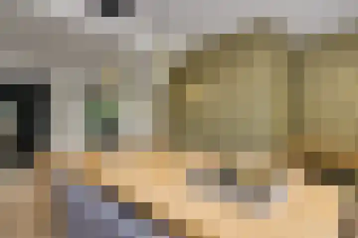 Baljuw 10 Naaldwijk thumbnail 9