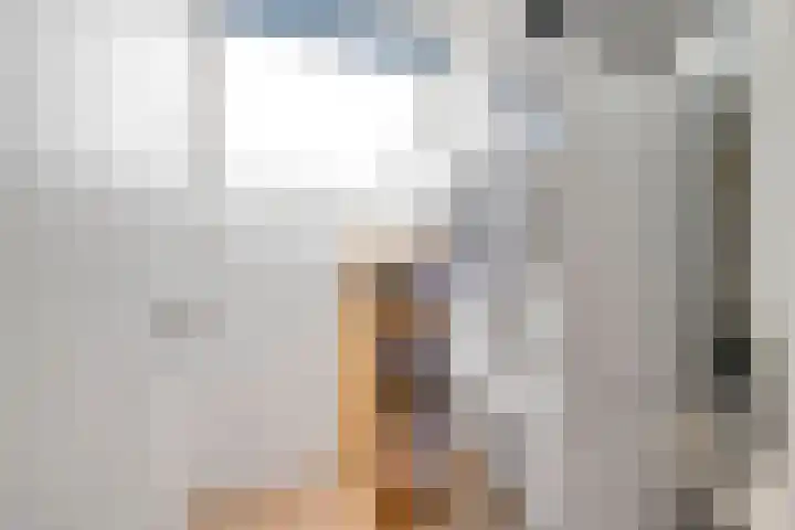 Baljuw 12 Brielle thumbnail 25