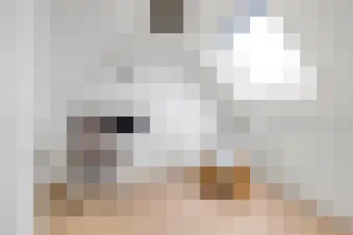 Baljuw 12 Brielle thumbnail 26