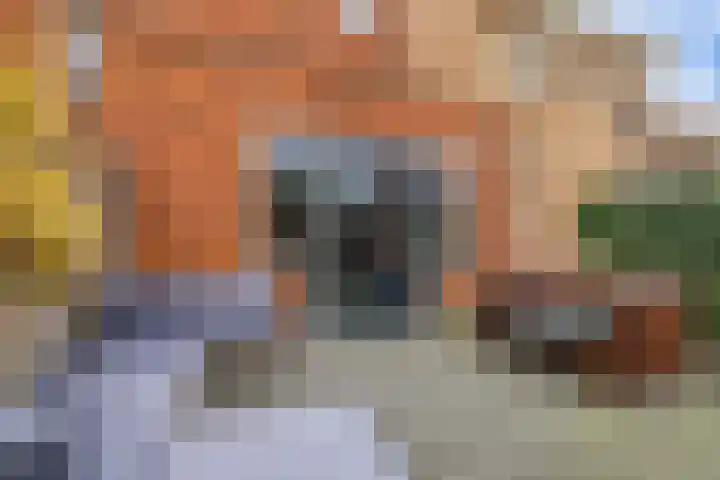 Baljuw 12 Brielle thumbnail 30