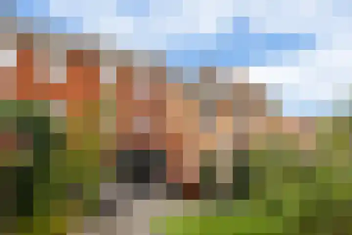 Baljuw 12 Brielle thumbnail 31