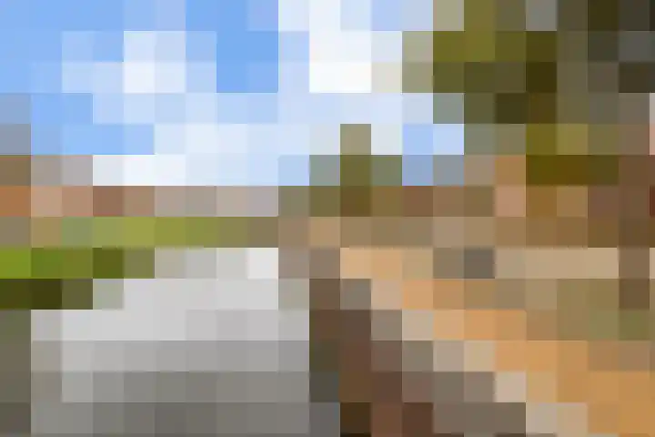 Baljuw 12 Brielle thumbnail 33