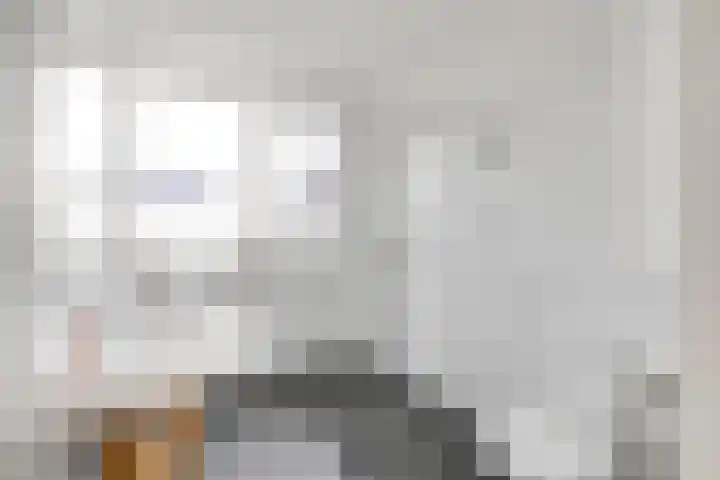 Baljuw 12 Brielle thumbnail 4