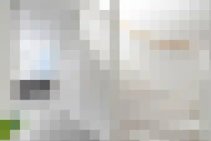 Baljuw 12 Brielle thumbnail 8