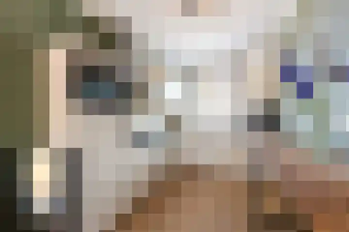 Baljuw 15 Brielle thumbnail 15