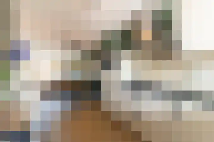 Baljuw 15 Brielle thumbnail 17