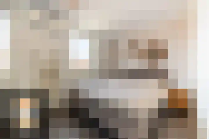 Baljuw 15 Brielle thumbnail 23