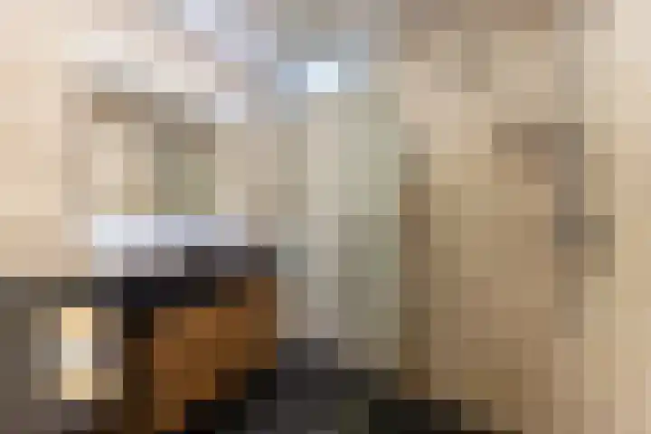 Baljuw 15 Brielle thumbnail 26