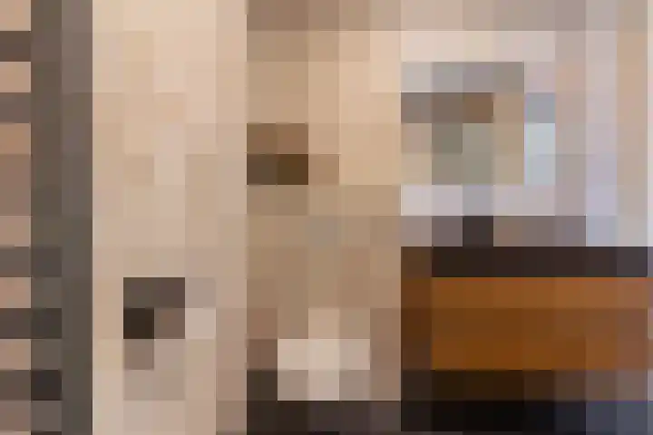 Baljuw 15 Brielle thumbnail 27