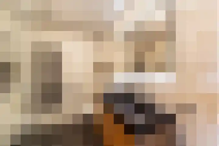 Baljuw 15 Brielle thumbnail 28