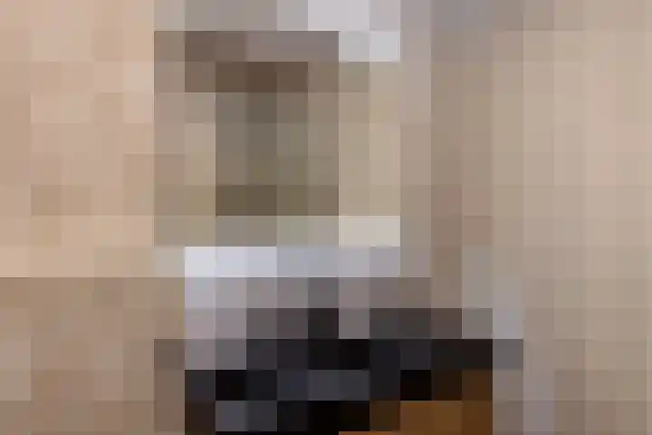 Baljuw 15 Brielle thumbnail 29