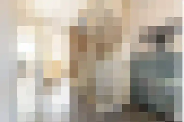 Baljuw 15 Brielle thumbnail 31