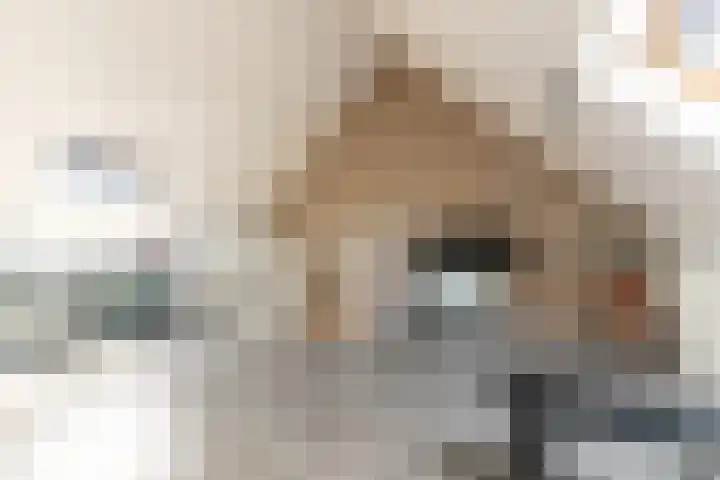 Baljuw 15 Brielle thumbnail 33
