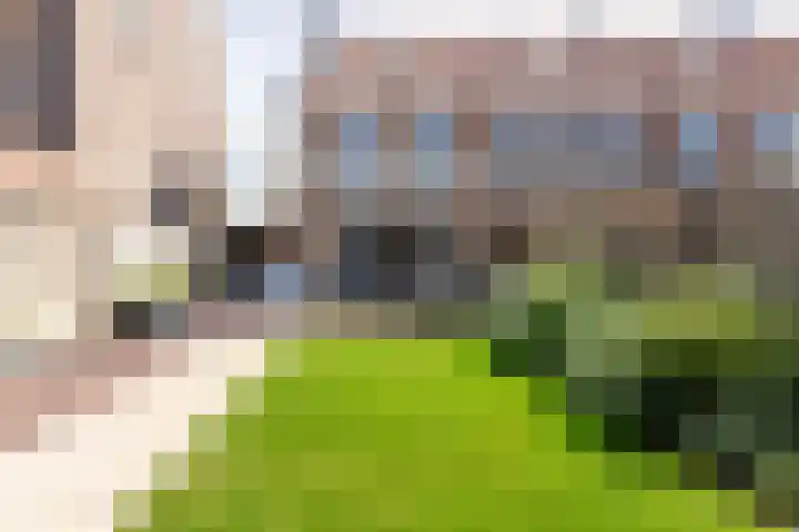 Baljuw 15 Brielle thumbnail 34