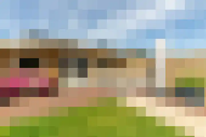 Baljuw 15 Brielle thumbnail 35