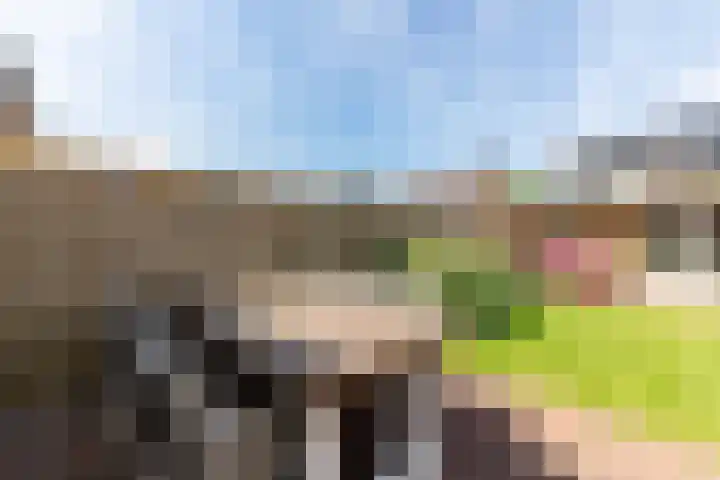 Baljuw 15 Brielle thumbnail 36