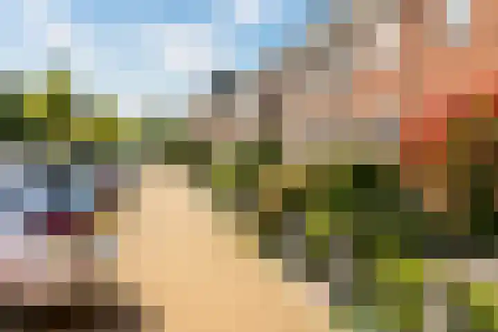Baljuw 15 Brielle thumbnail 37